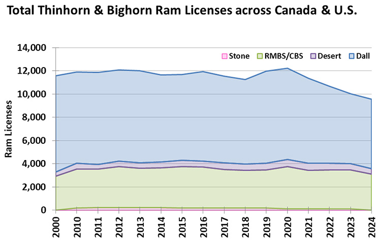 Total Thinhorn and Bighorn Licenses